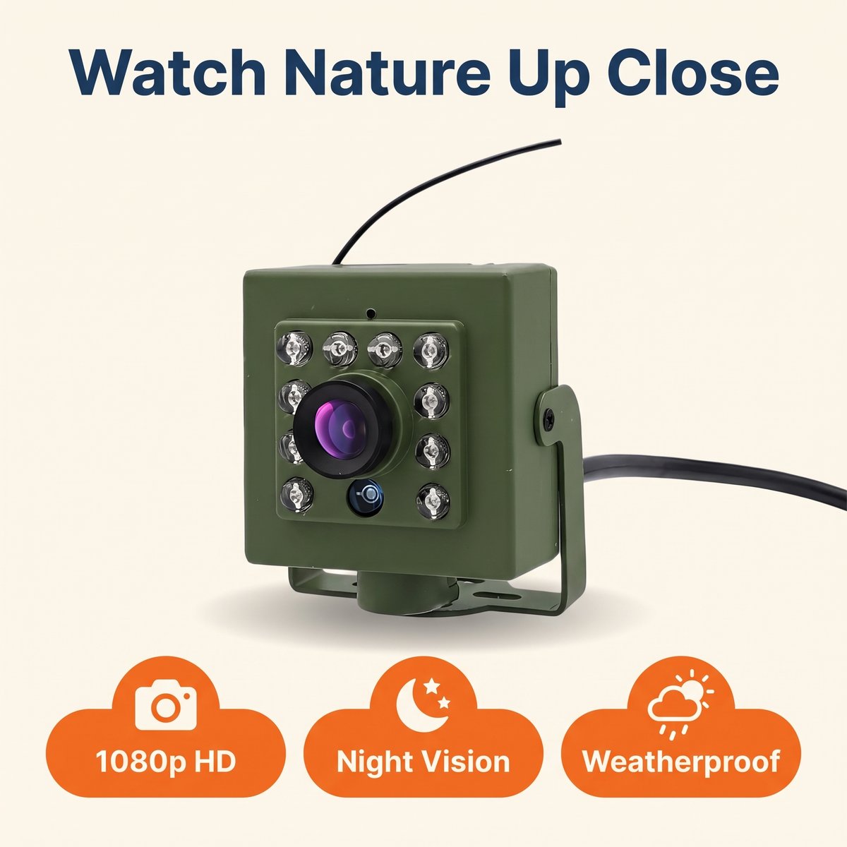 HD WiFi Bird Nest Camera