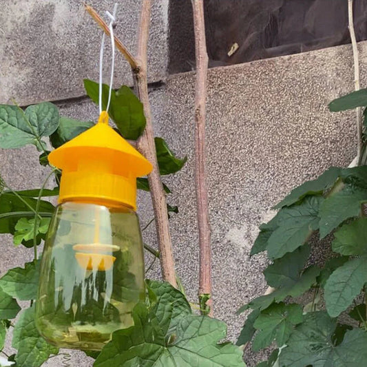 Hanging Fruit Fly Trap