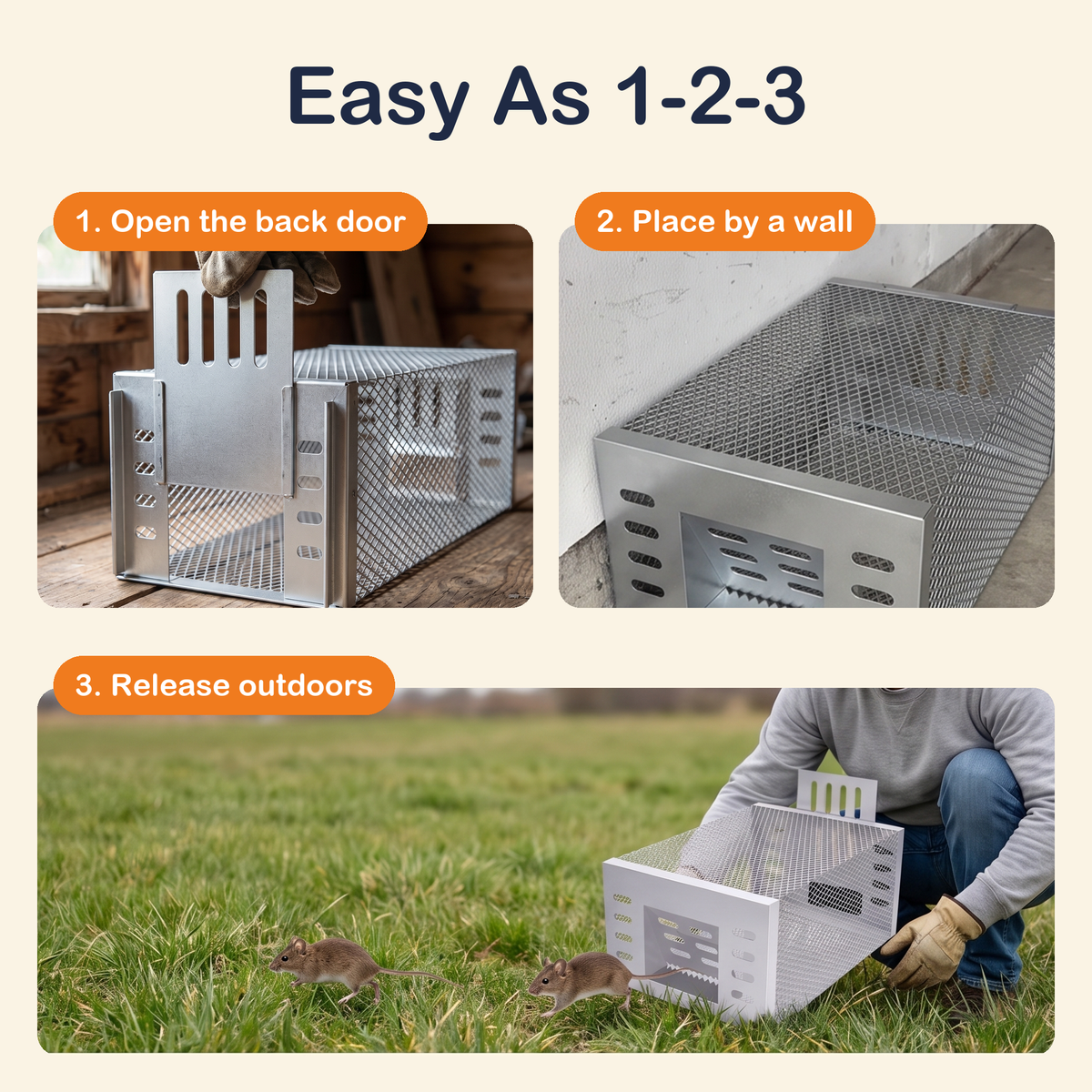 Human Mouse Trap with Safe & Reusable Design
