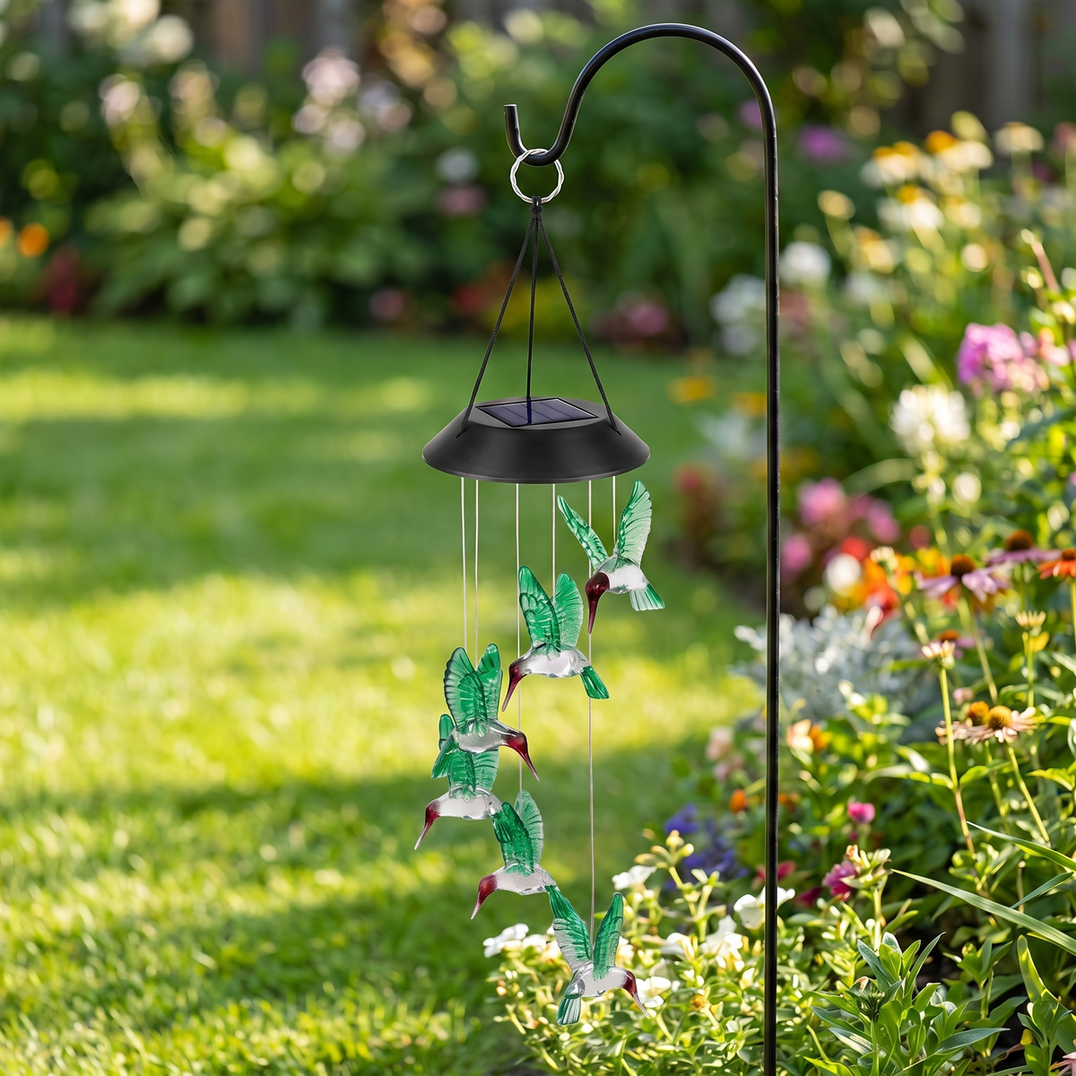 Color: Hummingbird