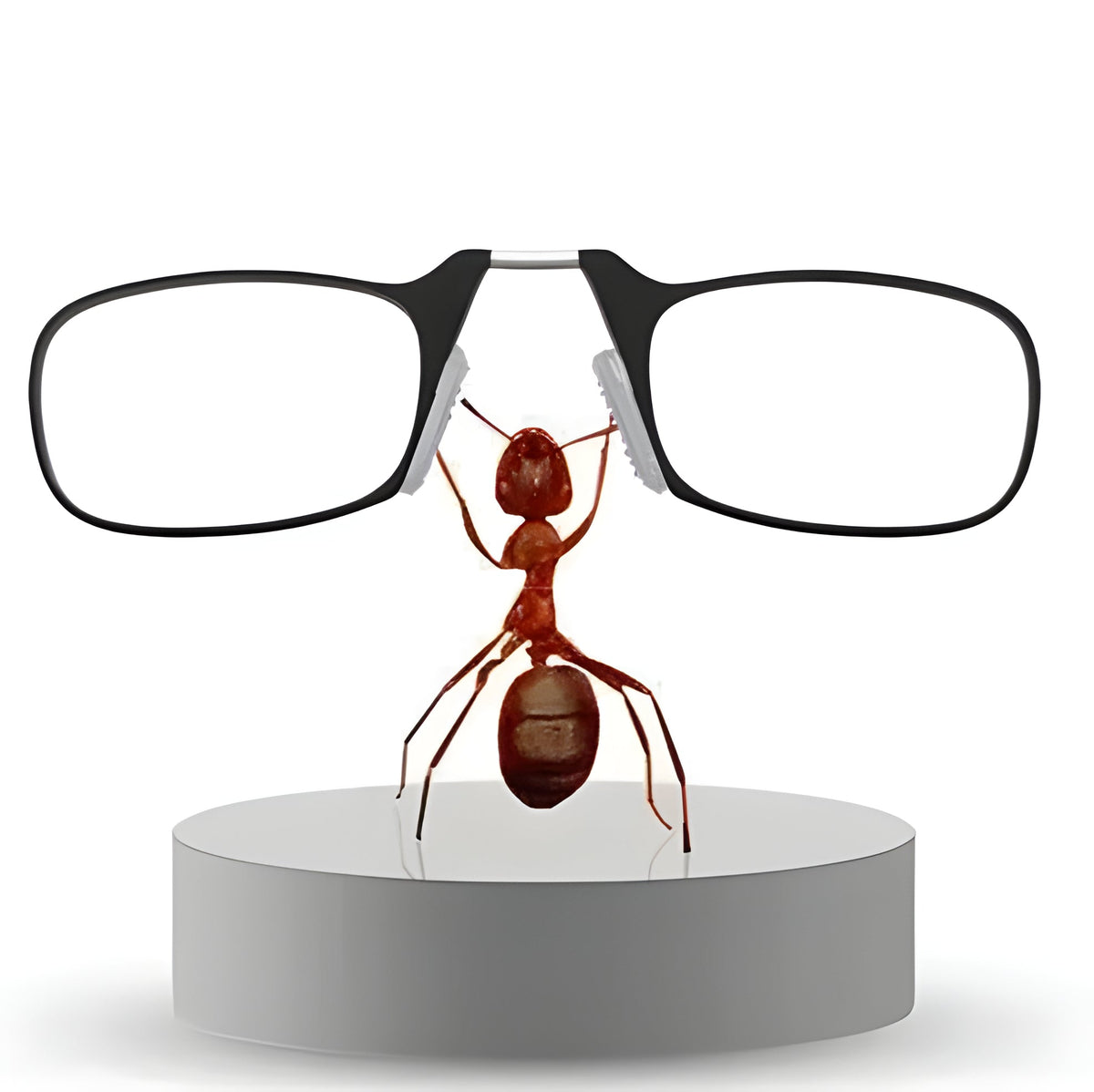 Foldable & Functional Glasses