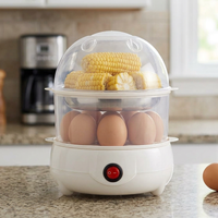 Double Layer Multifunctional Electric Egg Cooker