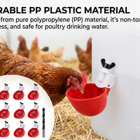 10 Pcs Chicken Waterer