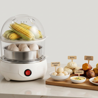 Double Layer Multifunctional Electric Egg Cooker