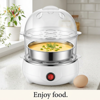 Double Layer Multifunctional Electric Egg Cooker