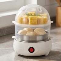 Double Layer Multifunctional Electric Egg Cooker