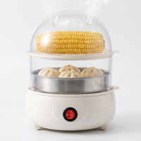 Double Layer Multifunctional Electric Egg Cooker