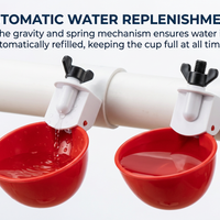 10 Pcs Chicken Waterer