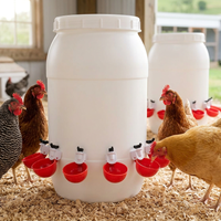 10 Pcs Chicken Waterer