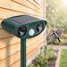 Ultrasonic Woodpecker Repellent