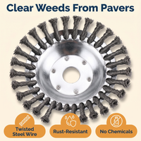 Heavy-Duty Wire Weeding Wheel