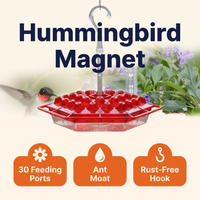 Hummingbird Feeder With Built-In Ant Moat