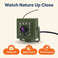 HD WiFi Bird Nest Camera