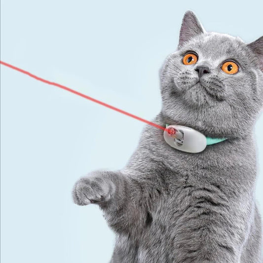 Interactive Laser Cat Collar with USB Charging