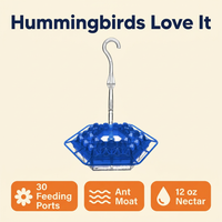 Hummingbird Feeder with Perch – 30 Diamond Feeding Ports, Built-In Ant Moat, 12 oz Hanging Outdoor Feeder
