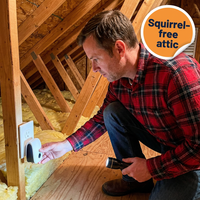 Ultrasonic Squirrel Repeller – Electronic Pest Deterrent for Squirrels, Bats, Mosquitoes & Spiders, Chemical-Free