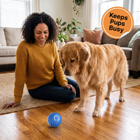 Interactive Obstacle-Avoiding Dog Ball