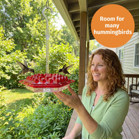Hummingbird Feeder with Perch – 30 Diamond Feeding Ports, Built-In Ant Moat, 12 oz Hanging Outdoor Feeder