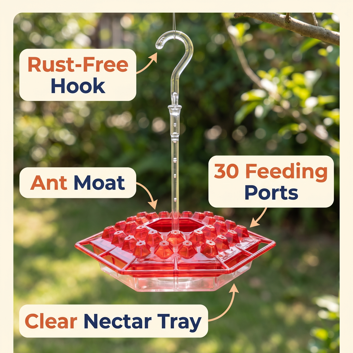 Hummingbird Feeder With Built-In Ant Moat