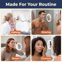 LED 10x Magnifying Mirror