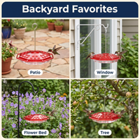 Hummingbird Feeder With Built-In Ant Moat