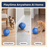 Interactive Obstacle-Avoiding Dog Ball