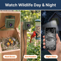 HD WiFi Bird Nest Camera