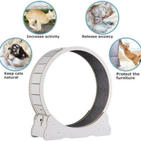 Cat Exercise Wheel