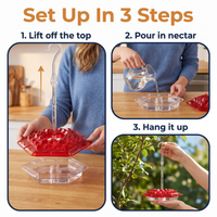 Ant Proof Hummingbird Feeder Outdoor Hanging Perch