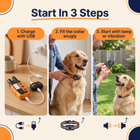 Remote Dog Training E-Collar