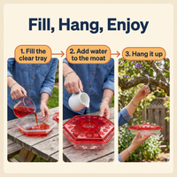 Hummingbird Feeder With Built-In Ant Moat