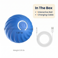 Interactive Obstacle-Avoiding Dog Ball