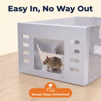 Human Mouse Trap with Safe & Reusable Design