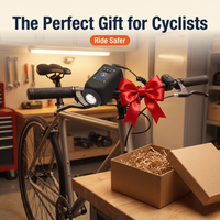 Electric Bike Horn and Front Light