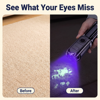 Rechargeable Ultraviolet UV Flashlight, Zoomable