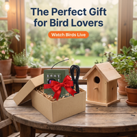 HD WiFi Bird Nest Camera