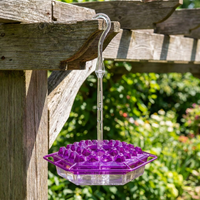 Color: Purple