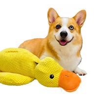 Calming Durable Duck