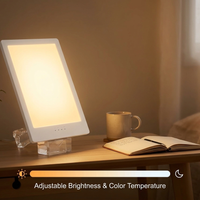 Therapeutic Sunlight Lamp For Depression remake body_00.png