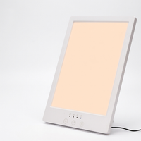 [REMAKE PILOT C] Therapeutic Sunlight Lamp For Depression body_00.png