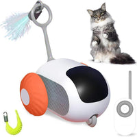 Remote Control Cat Toys