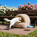 Warm Arctic Fleece Enclosed Cat Cave Bed