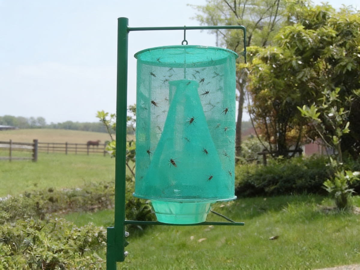 [REMAKE PILOT] Fly Traps Reusable Ranch Fly Trap