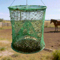[REMAKE PILOT] Fly Traps Reusable Ranch Fly Trap