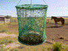 [REMAKE PILOT] Fly Traps Reusable Ranch Fly Trap