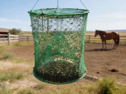 [REMAKE PILOT] Fly Traps Reusable Ranch Fly Trap
