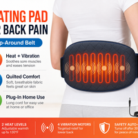Heating Pad remake gal_00.png