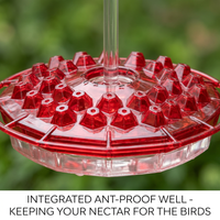 Ant Proof Hummingbird Feeder Outdoor Hanging Perch