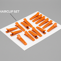 gallery-09-hairclip-set