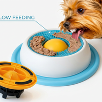 gallery-10-slow-feeding
